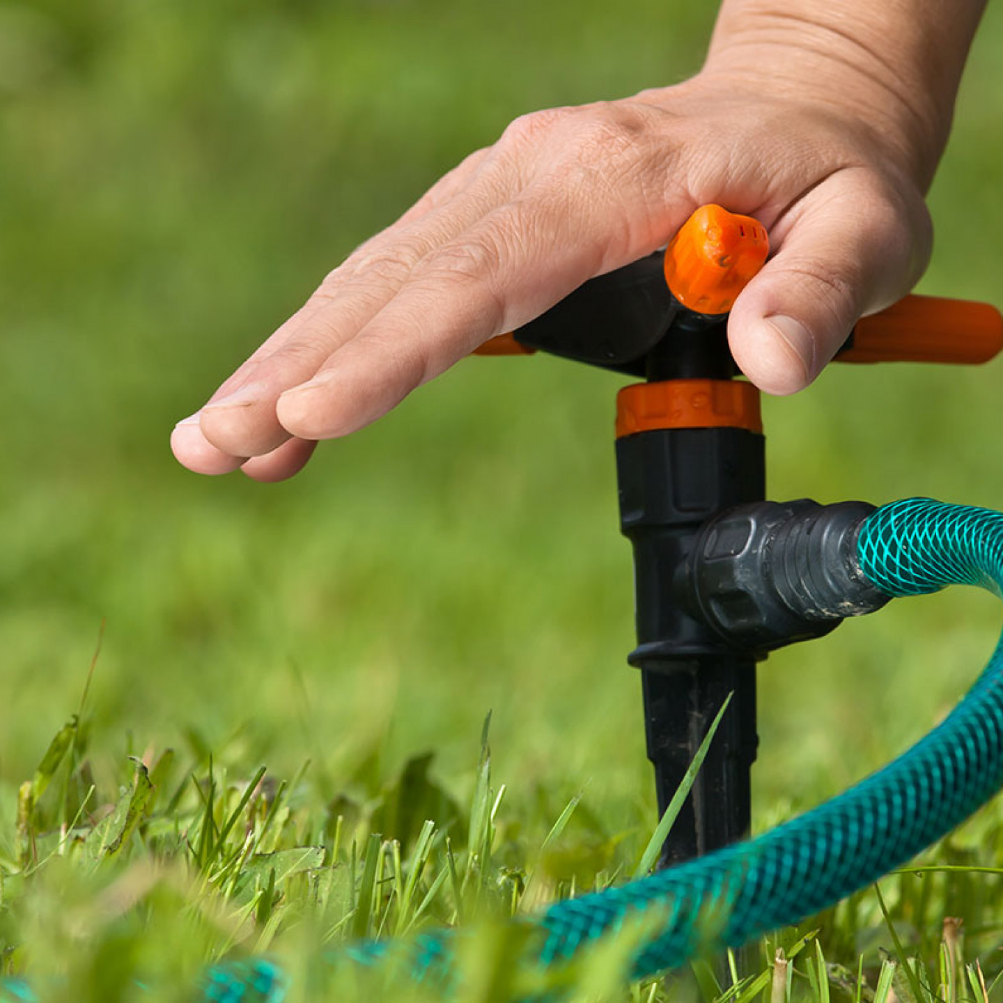 Curated visual reference: Irrigation System Installation Fresno Visalia Ca Photo Inspiration